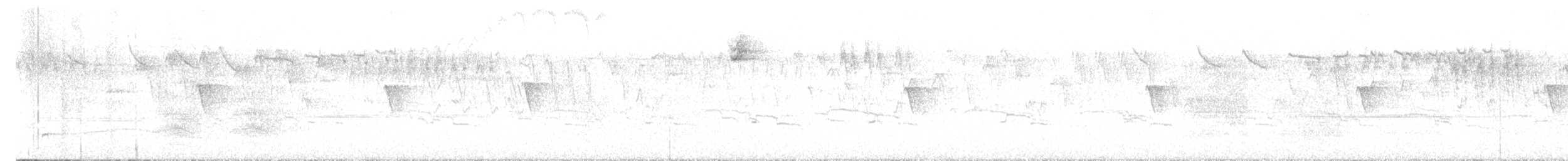 marmordvergteist - ML634525268