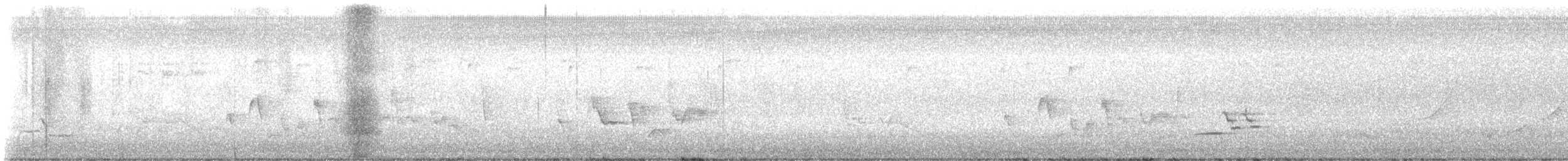 Wood Thrush - ML634527319