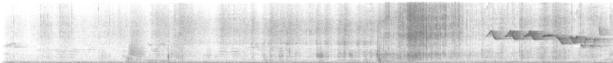 Louisiana Waterthrush - ML634528481