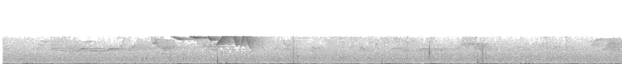 チャカブリアメリカムシクイ - ML634533642