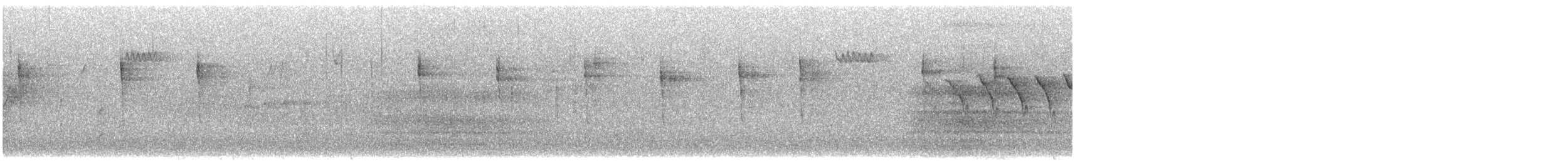 Brown Creeper - ML634539154
