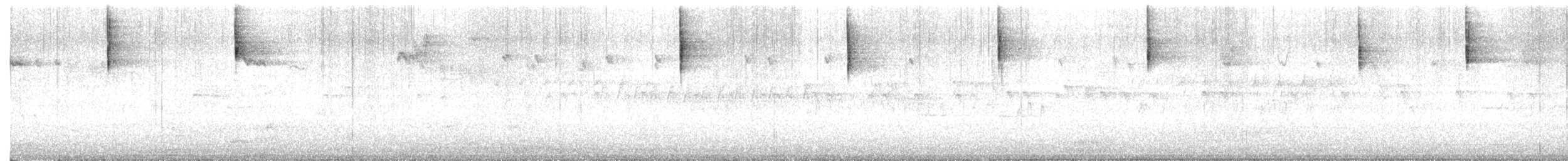 Junco Ojioscuro - ML634541539