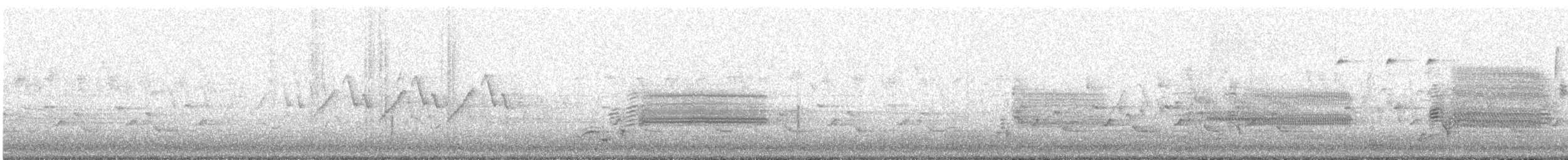 Polluela Sora - ML634541663