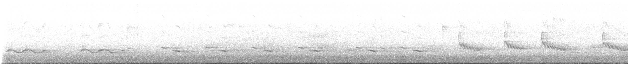 Northern Mockingbird - ML634543832