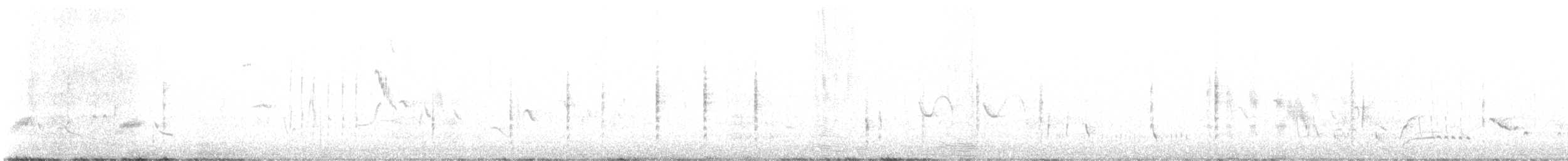 Traquet noir et blanc - ML634544751