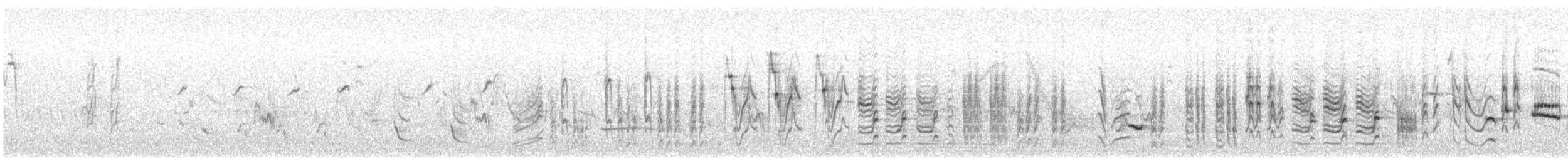 sedmihlásek švitořivý - ML634546609