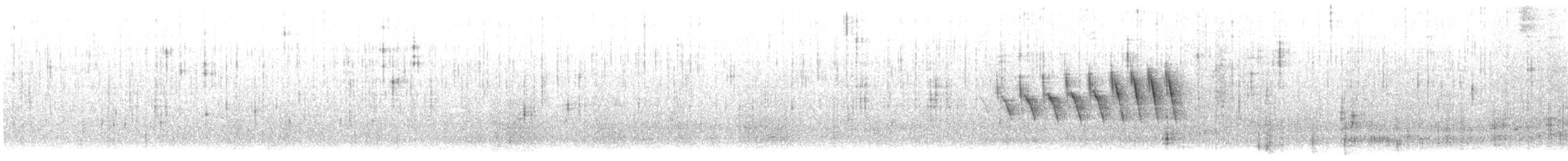 Grace's Warbler - ML634546938