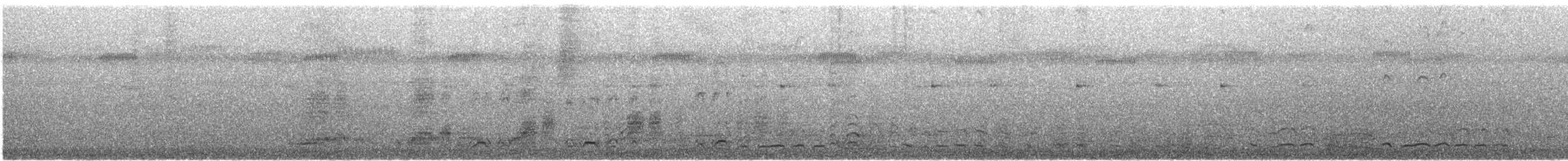 Sargasso Shearwater - ML634552753