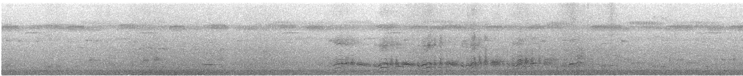 Sargasso Shearwater - ML634552870