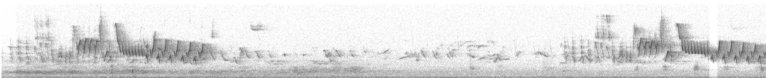 Northern House Wren - ML634557345