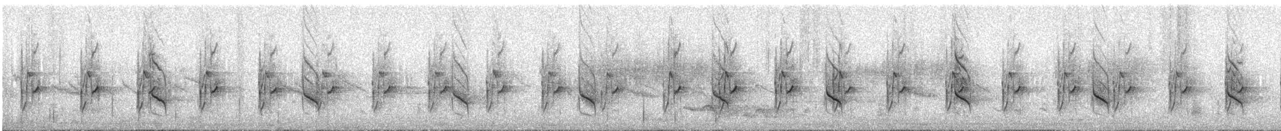 Prinia à sourcils - ML634559858