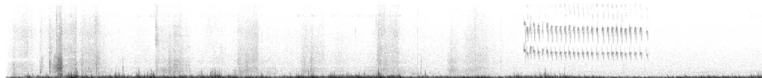 Synallaxe mésange (berlepschi) - ML634562373