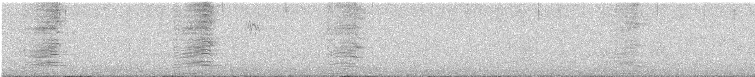 Talève australe - ML634563547