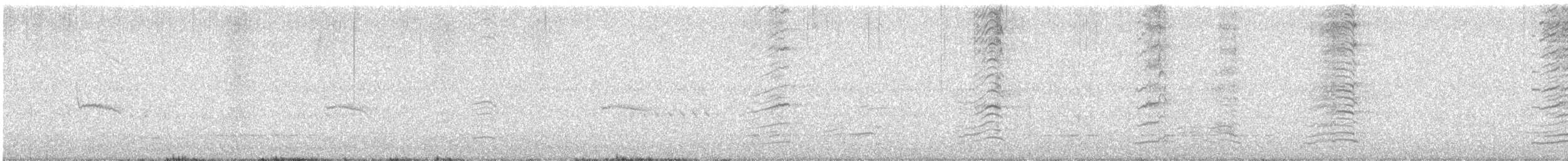 Talève australe - ML634563792