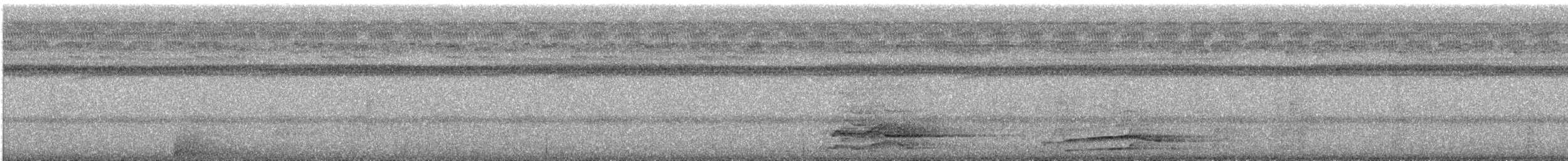 Mégapode mélanésien - ML634565677