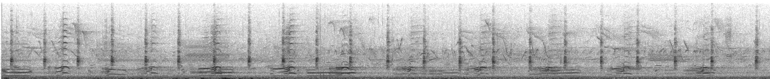 King Rail - ML634567656