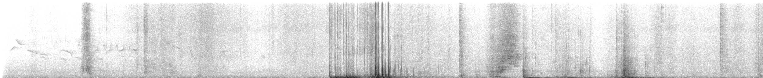 čížek kalifornský - ML634572793