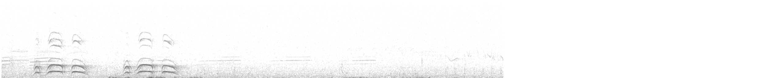 California Quail - ML634576013