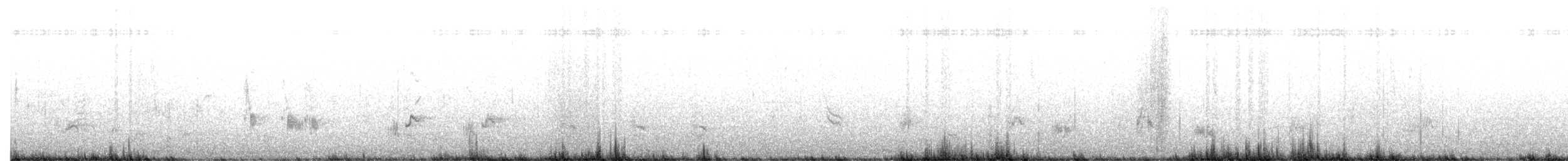 California Thrasher - ML634577566