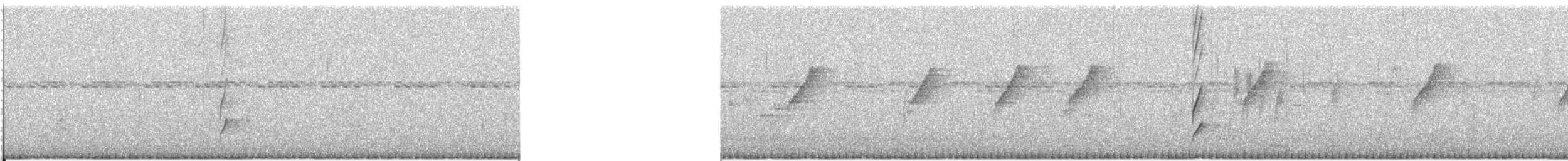 Malaysian Plover - ML634578582