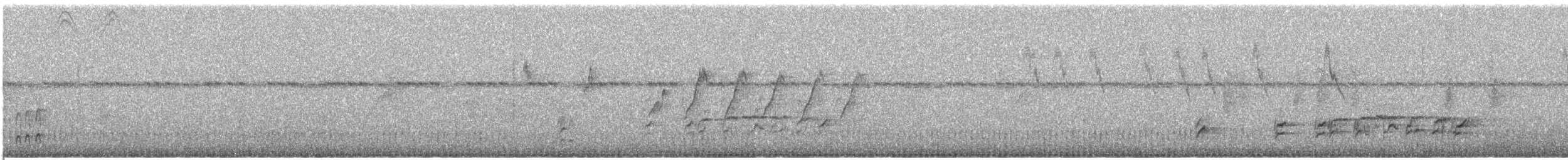 Malaysian Plover - ML634578588