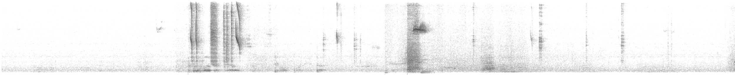 Rivoli's Hummingbird - ML634580186
