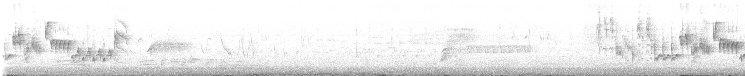 Northern House Wren - ML634583404