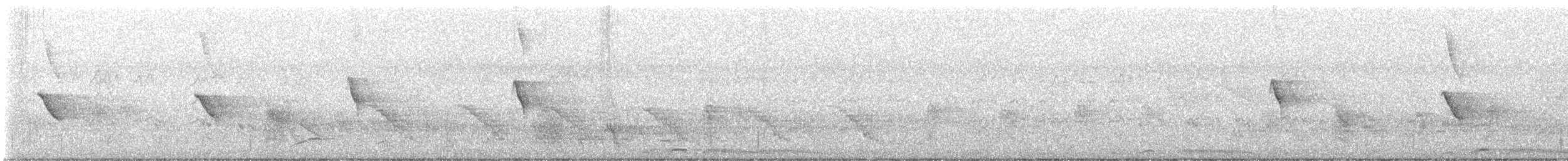 hårdrongo - ML634585158