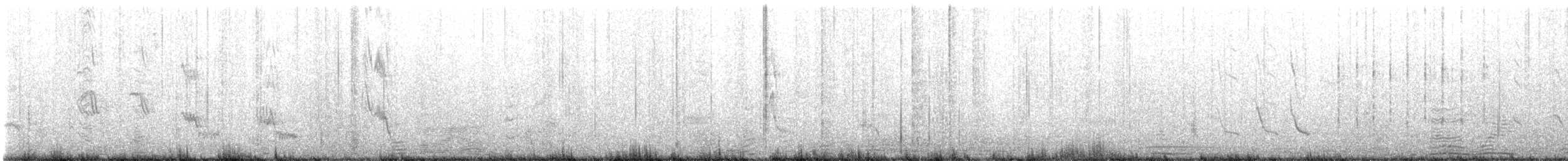 Chevalier gambette - ML634586969