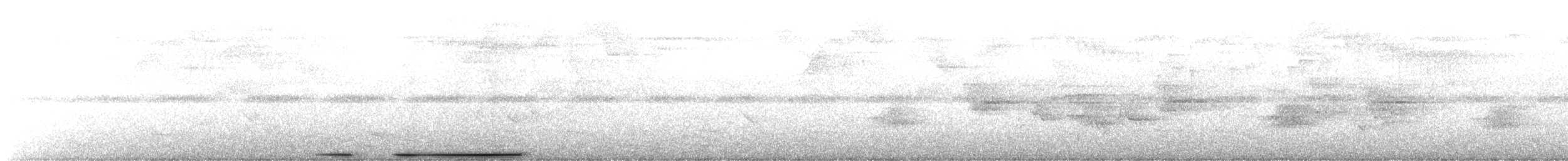 White-tipped Dove - ML634588901