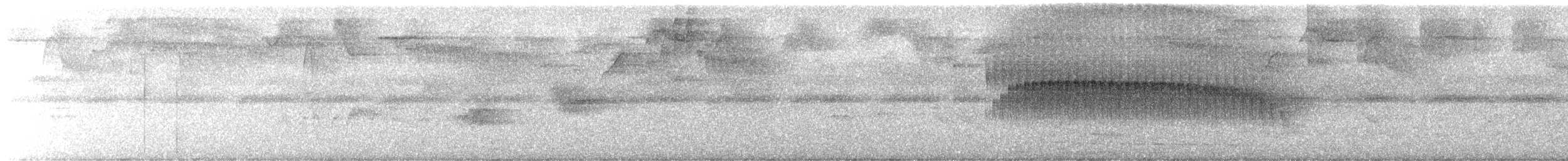 Olivaceous Woodcreeper - ML634588908