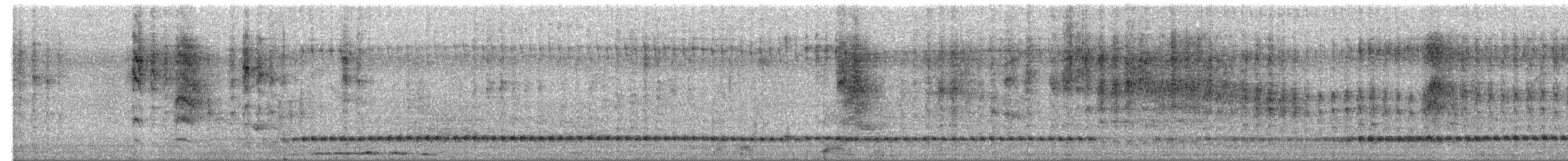 Whyte's Barbet - ML634589604