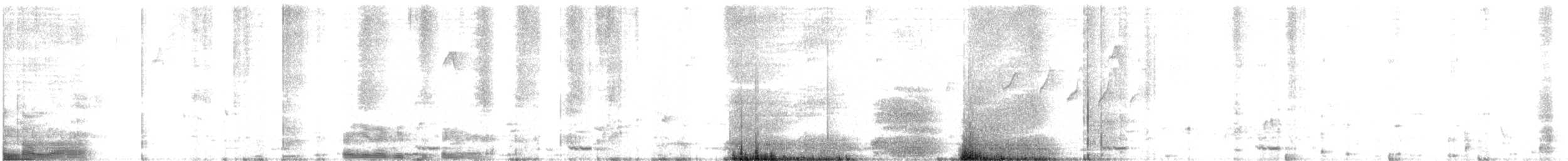 Brown-headed Barbet - ML634589625