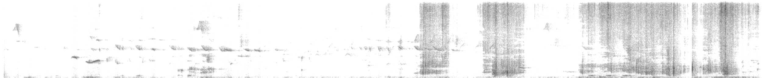 Brown-headed Barbet - ML634589626