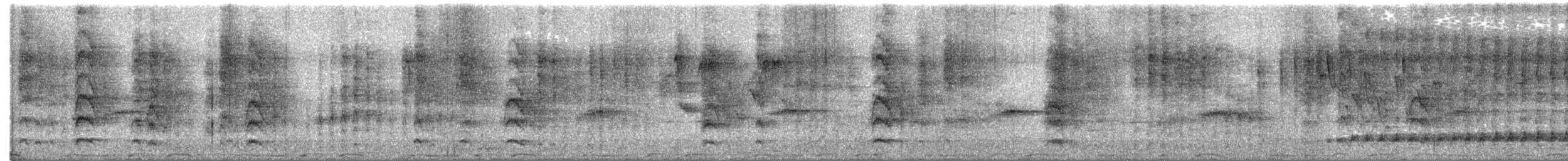 Whyte's Barbet - ML634589665