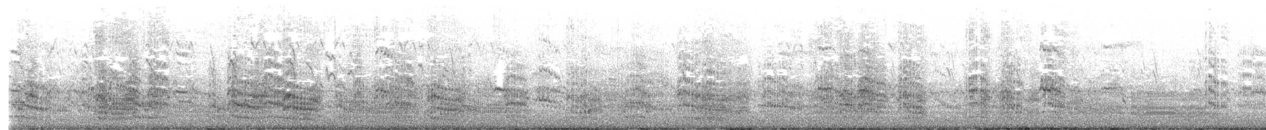 オオアジサシ - ML634590277