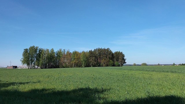 hortulan - ML634590960