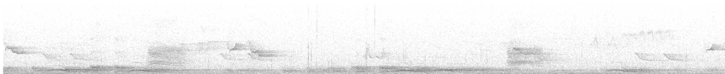 Barred Owl - ML634591684