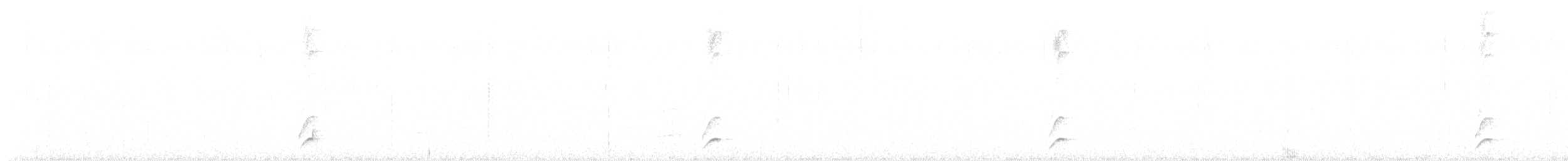 Blackish Tapaculo - ML634593481