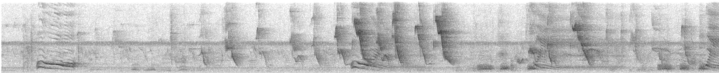 Gray Go-away-bird - ML634597303