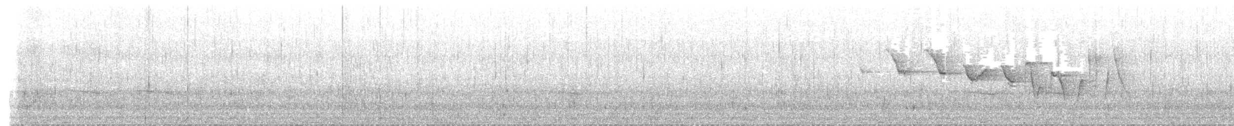 Louisiana Waterthrush - ML634598439