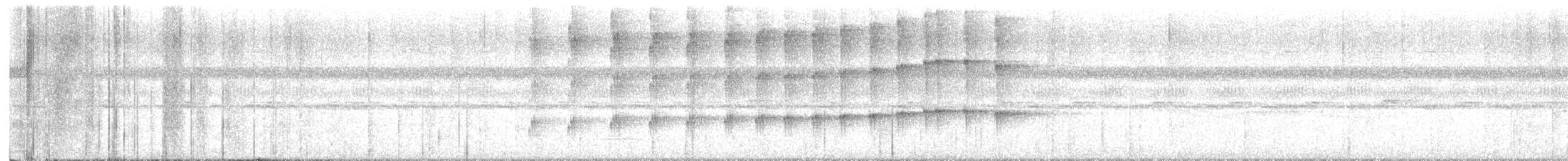 Scale-crested Pygmy-Tyrant - ML634598503