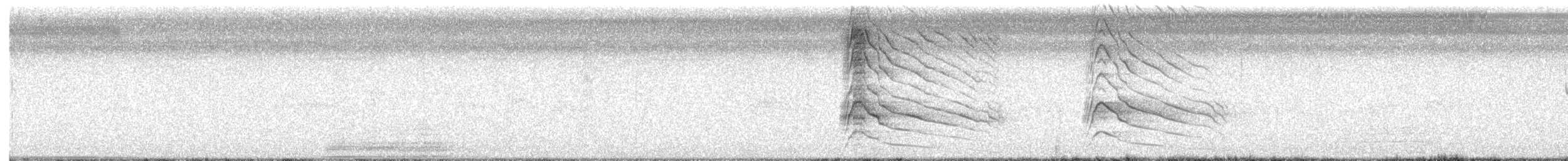 Roadside Hawk - ML634598611