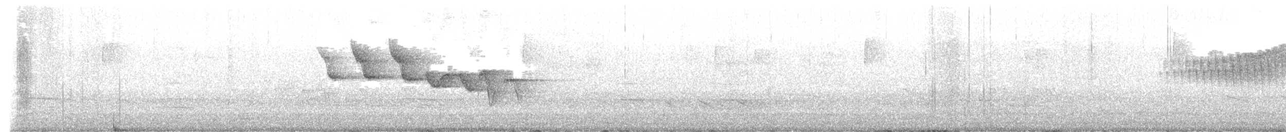 Louisiana Waterthrush - ML634598653