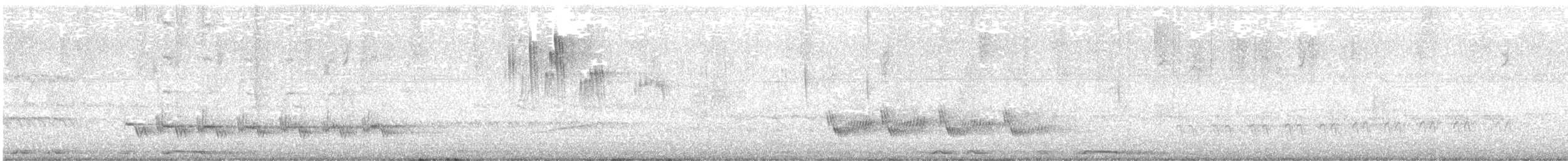 Vaux's Swift (Yucatan) - ML634598868