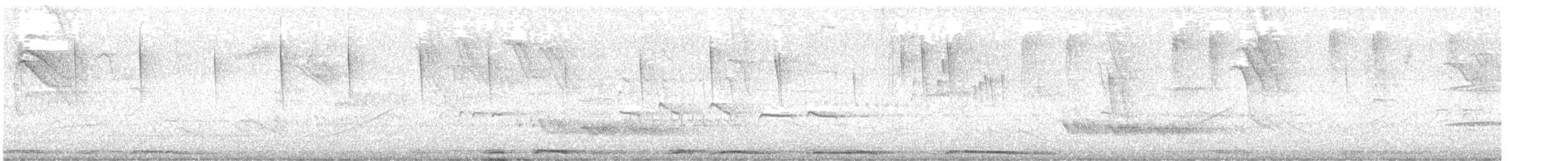 Vaux's Swift (Yucatan) - ML634598875