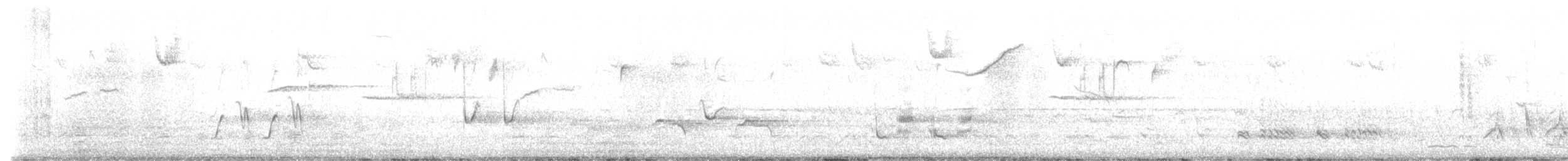 Brown Thrasher - ML634599304