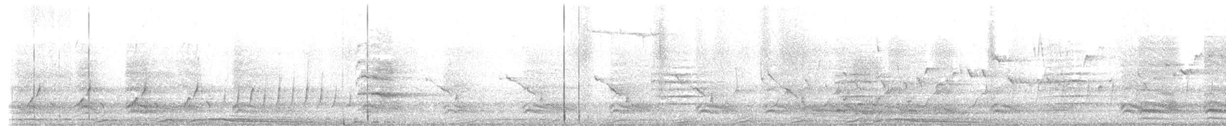 Barred Owl - ML634599638