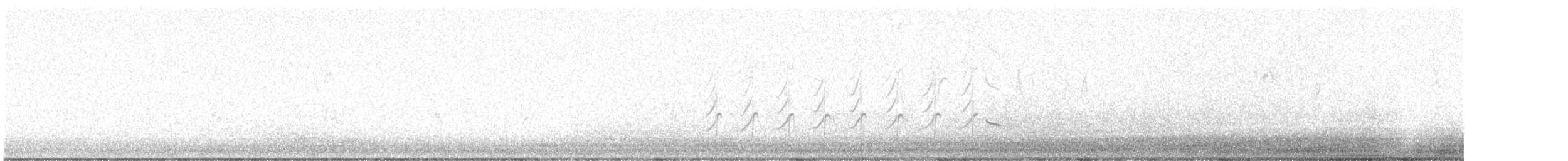 Great-tailed Grackle - ML634600925