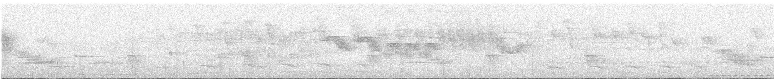 Uniform Antshrike - ML634600931